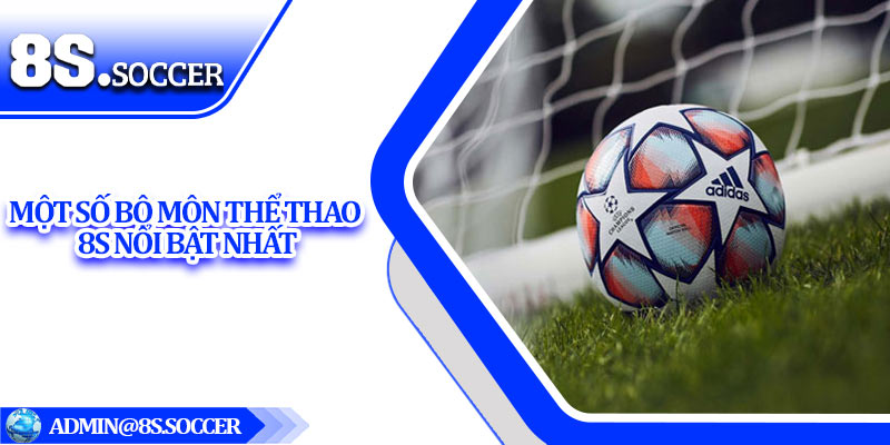 Một số bộ môn thể thao 8S nổi bật nhất